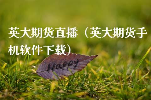 英大期货直播（英大期货手机软件下载）_https://www.qdlswl.com_直播_第1张