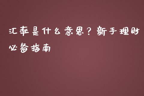 汇率是什么意思？新手理财必备指南_https://www.qdlswl.com_直播_第1张