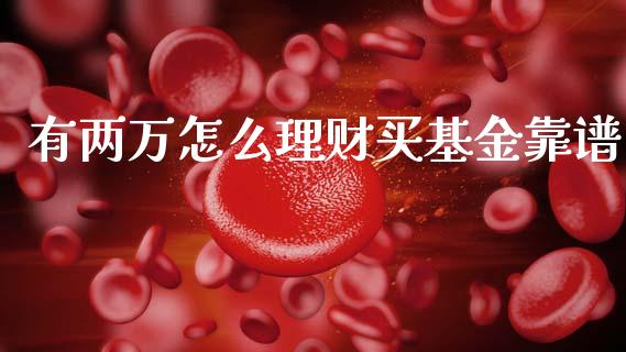 有两万怎么理财买基金靠谱_https://www.qdlswl.com_基金_第1张
