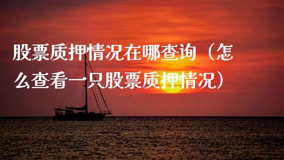 股票质押情况在哪查询（怎么查看一只股票质押情况）_https://www.qdlswl.com_外盘_第1张