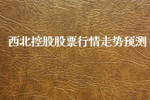 西北控股股票行情走势预测_https://www.qdlswl.com_股票_第1张