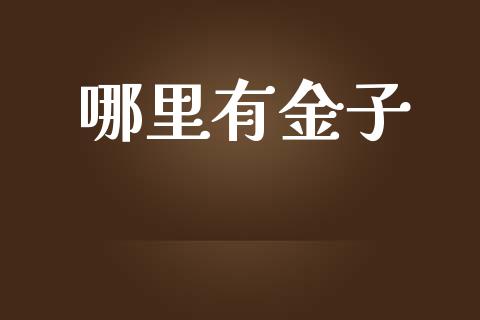 哪里有金子_https://www.qdlswl.com_期货_第1张