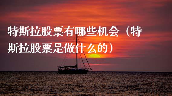 特斯拉股票有哪些机会（特斯拉股票是做什么的）_https://www.qdlswl.com_股票_第1张