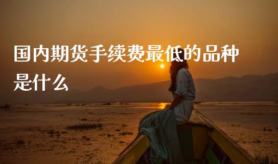 国内期货手续费最低的品种是什么_https://www.qdlswl.com_股指_第1张
