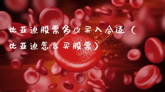 比亚迪股票多少买入合适（比亚迪怎么买股票）_https://www.qdlswl.com_外盘_第1张