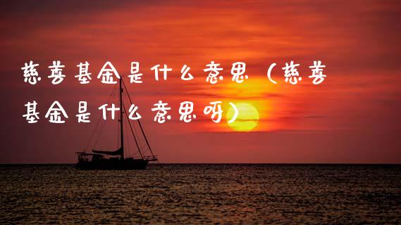 慈善基金是什么意思（慈善基金是什么意思呀）_https://www.qdlswl.com_理财_第1张