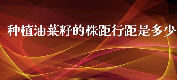 种植油菜籽的株距行距是多少_https://www.qdlswl.com_期货_第1张