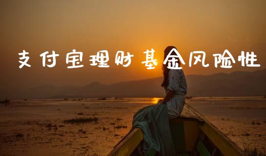 支付宝理财基金风险性_https://www.qdlswl.com_理财_第1张