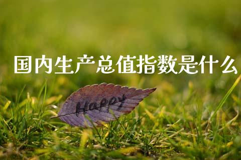 国内生产总值指数是什么_https://www.qdlswl.com_期货_第1张
