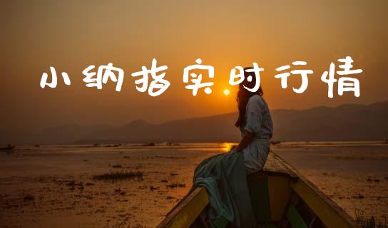 小纳指实时行情_https://www.qdlswl.com_股指_第1张
