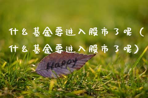 什么基金要进入股市了呢（什么基金要进入股市了呢）_https://www.qdlswl.com_理财_第1张