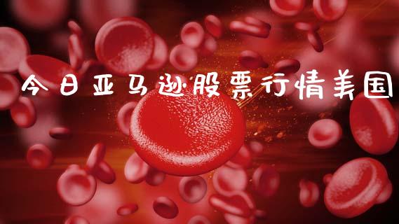 今日亚马逊股票行情美国_https://www.qdlswl.com_外盘_第1张