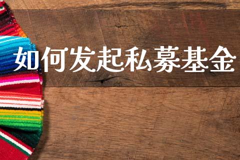 如何发起私募基金_https://www.qdlswl.com_理财_第1张