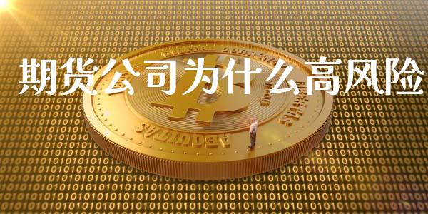 期货公司为什么高风险_https://www.qdlswl.com_股指_第1张
