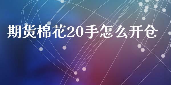 期货棉花20手怎么开仓_https://www.qdlswl.com_股指_第1张