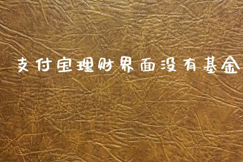 支付宝理财界面没有基金_https://www.qdlswl.com_基金_第1张