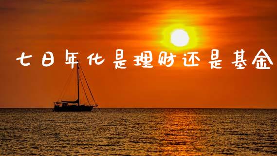 七日年化是理财还是基金_https://www.qdlswl.com_理财_第1张