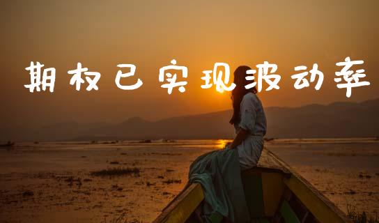 期权已实现波动率_https://www.qdlswl.com_股票_第1张