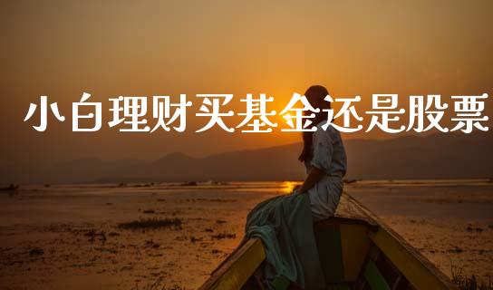 小白理财买基金还是股票_https://www.qdlswl.com_基金_第1张