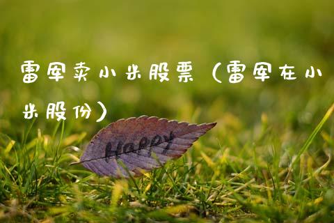 雷军卖小米股票（雷军在小米股份）_https://www.qdlswl.com_内盘_第1张