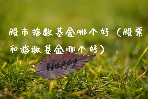股市指数基金哪个好（股票和指数基金哪个好）_https://www.qdlswl.com_理财_第1张