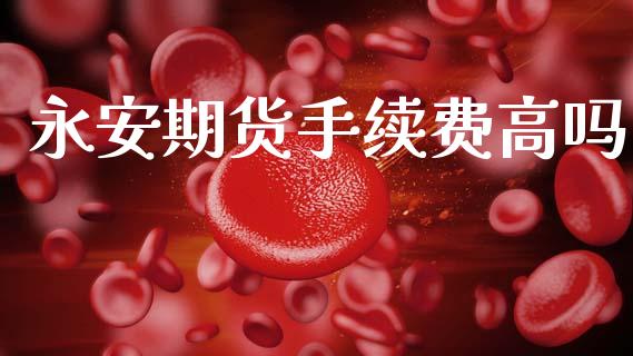 永安期货手续费高吗_https://www.qdlswl.com_股指_第1张