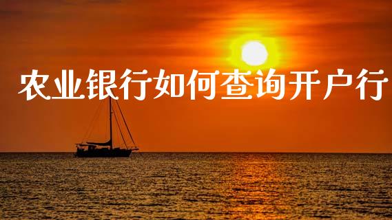 农业银行如何查询开户行_https://www.qdlswl.com_理财_第1张