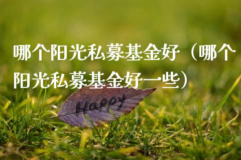 哪个阳光私募基金好（哪个阳光私募基金好一些）_https://www.qdlswl.com_基金_第1张