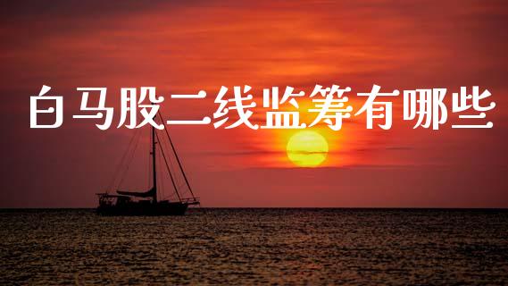 白马股二线监筹有哪些_https://www.qdlswl.com_外盘_第1张