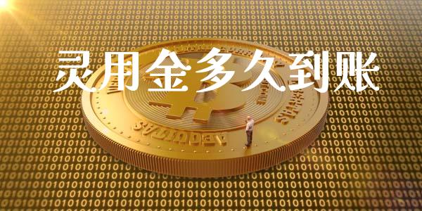 灵用金多久到账_https://www.qdlswl.com_股指_第1张