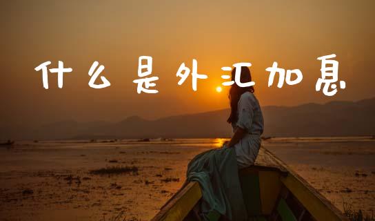 什么是外汇加息_https://www.qdlswl.com_内盘_第1张