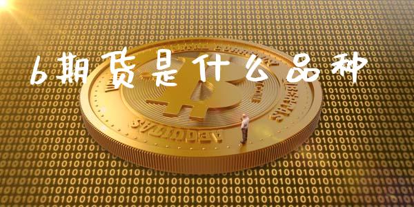 b期货是什么品种_https://www.qdlswl.com_期货_第1张