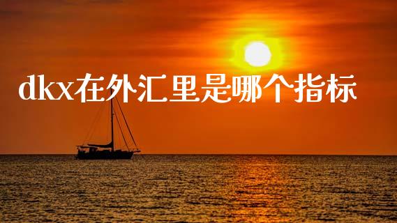 dkx在外汇里是哪个指标_https://www.qdlswl.com_内盘_第1张