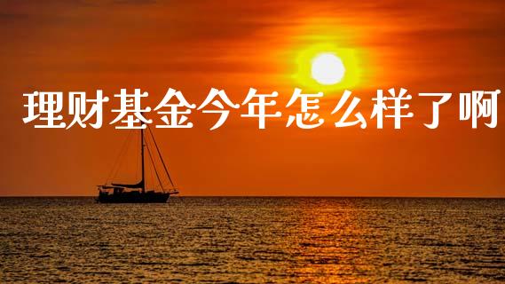 理财基金今年怎么样了啊_https://www.qdlswl.com_基金_第1张