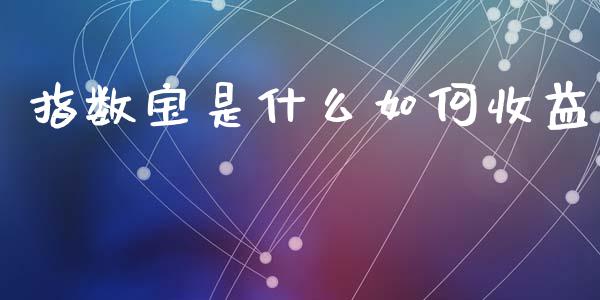指数宝是什么如何收益_https://www.qdlswl.com_理财_第1张