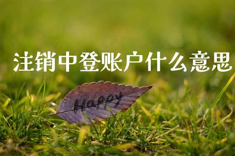 注销中登账户什么意思_https://www.qdlswl.com_股票_第1张