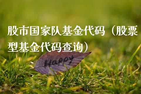股市国家队基金代码（股票型基金代码查询）_https://www.qdlswl.com_理财_第1张