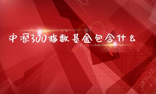 沪深300指数基金包含什么_https://www.qdlswl.com_期货_第1张