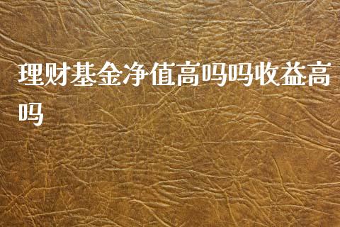 理财基金净值高吗吗收益高吗_https://www.qdlswl.com_理财_第1张