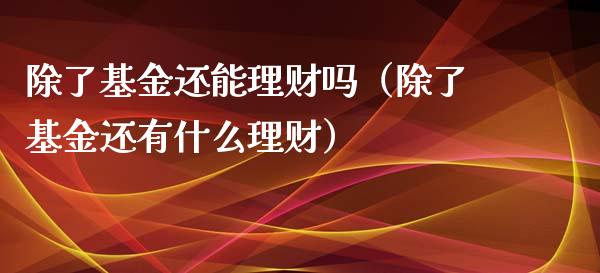 除了基金还能理财吗（除了基金还有什么理财）_https://www.qdlswl.com_基金_第1张