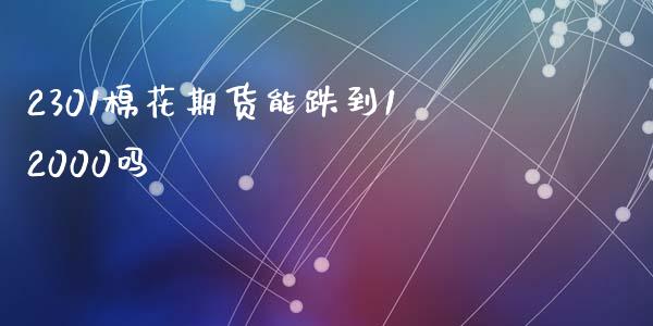2301棉花期货能跌到12000吗_https://www.qdlswl.com_股指_第1张