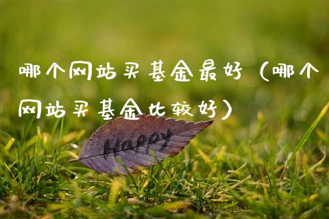 哪个网站买基金最好（哪个网站买基金比较好）_https://www.qdlswl.com_理财_第1张