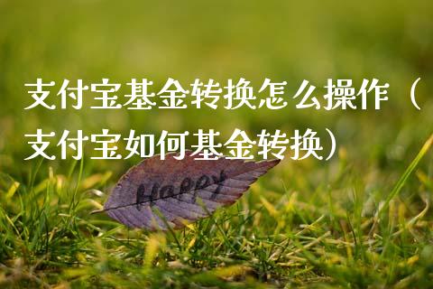 支付宝基金转换怎么操作（支付宝如何基金转换）_https://www.qdlswl.com_理财_第1张