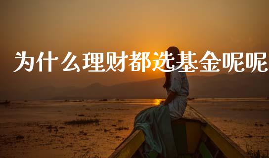 为什么理财都选基金呢呢_https://www.qdlswl.com_基金_第1张
