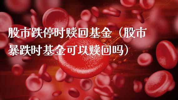 股市跌停时赎回基金（股市暴跌时基金可以赎回吗）_https://www.qdlswl.com_理财_第1张