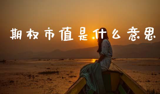 期权市值是什么意思_https://www.qdlswl.com_期货_第1张