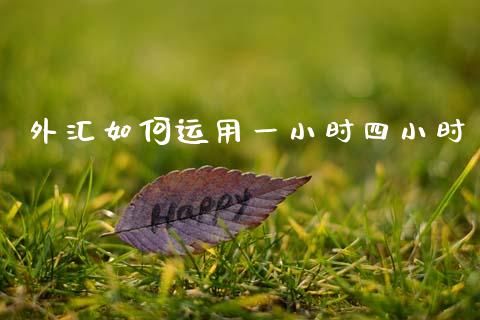 外汇如何运用一小时四小时_https://www.qdlswl.com_理财_第1张