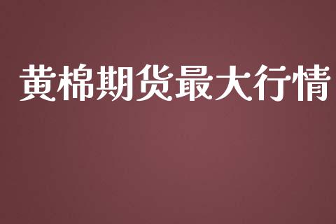 黄棉期货最大行情_https://www.qdlswl.com_股指_第1张