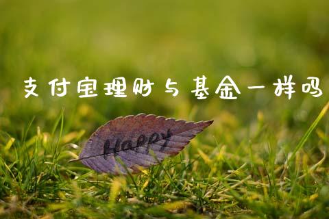 支付宝理财与基金一样吗_https://www.qdlswl.com_理财_第1张