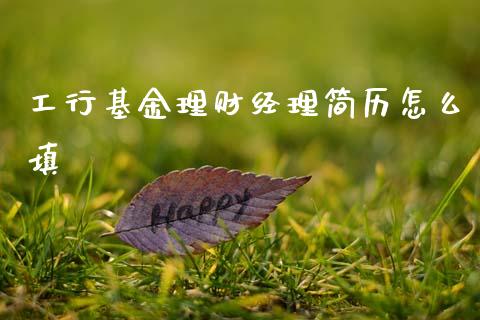 工行基金理财经理简历怎么填_https://www.qdlswl.com_基金_第1张
